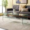 Safavieh Brioni Clear Tempered Glass Coffee Table with Storage Shelf 2 Safavieh Brioni Clear Tempered Glass Coffee Table with Storage Shelf -Safavieh Furniture GUEST 015989ee 806c 4ce5 ba6e 73e05b282695