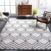 Safavieh Adirondack ADR241 Power Loomed Area Rug