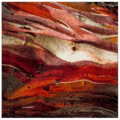 Safavieh Calabasas Abstract Contemporary Loomed Area Rug -Safavieh Furniture GUEST 51b69280 2dda 4fb6 b4f0 fe4b4c5cde9c