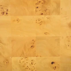 Safavieh Cella Burl Wood Coffee Table - Natural Rectangular Design 15 Safavieh Cella Burl Wood Coffee Table - Natural Rectangular Design -Safavieh Furniture GUEST 62dbd243 5a96 40a4 8b50 2cb214a70b5b