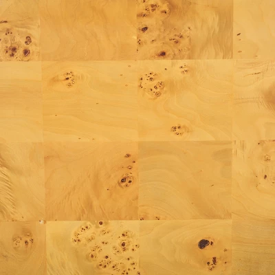 Safavieh Cella Burl Wood Coffee Table - Natural Rectangular Design 9 Safavieh Cella Burl Wood Coffee Table - Natural Rectangular Design - Image 7