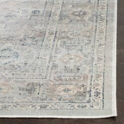 Safavieh Arnaldo Vintage Collection Transitional Area Rug