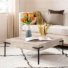 Safavieh Eli Square Coffee Table - Light Grey Faux Concrete and Black 1 Safavieh Eli Square Coffee Table - Light Grey Faux Concrete and Black -Safavieh Furniture GUEST 92d1c7c1 c120 4dc0 9f94 aded59927bce