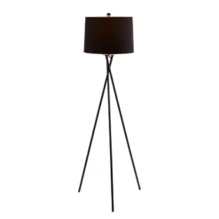 Safavieh Parsen 61.5-Inch Modern Black Iron Floor Lamp