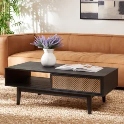 Safavieh Ceu 2-Door Storage Coffee Table - Modern Wood & Gold
