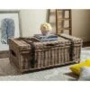 Safavieh Navarro Rattan Coffee Table Trunk with Hidden Storage 1 Safavieh Navarro Rattan Coffee Table Trunk with Hidden Storage -Safavieh Furniture GUEST bfad3bcb a200 46fd bde7 2ad1ed144b6c