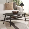 Safavieh Karou 2-Tier Coffee Table with Storage Shelf