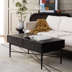 Safavieh Pierre 2-Drawer Coffee Table with Gold Metallic Legs