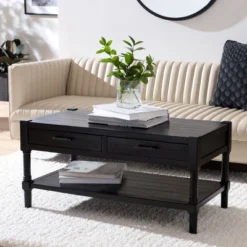 Safavieh Filbert 2-Drawer Coffee Table with Storage Shelf - Black
