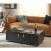 Safavieh Zoe Retro Steamer Trunk Coffee Table